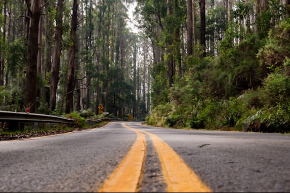 Lake Mountain Road