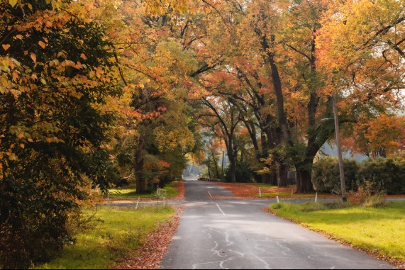 A Burst of Autumn