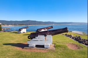 Flagstaff Cannons