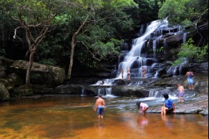 Newcastle and Central Coast GALLERY