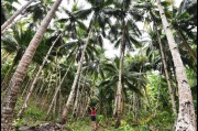 Gunjan Virk, Things to Dot photo shoot at Kawasan Falls, Philippines