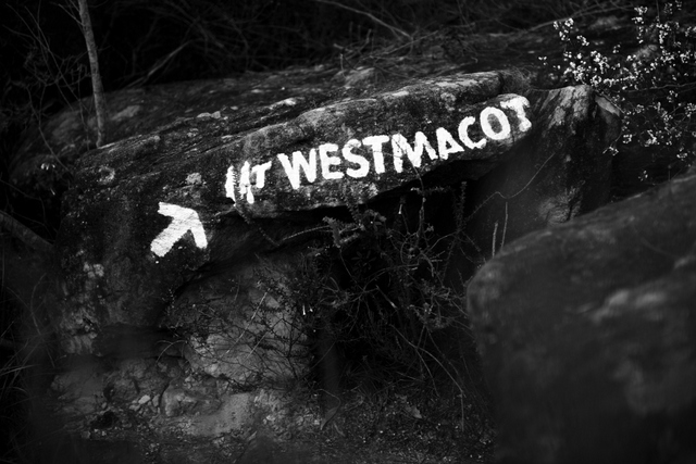 Mt Westmacott